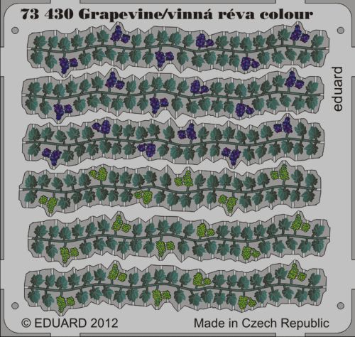 Eduard ED73430 1:72 Grapes on the vine in colour!