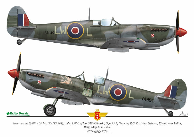 Exito Decals EXED32003 Sexy Spitfires Markings 1:32
