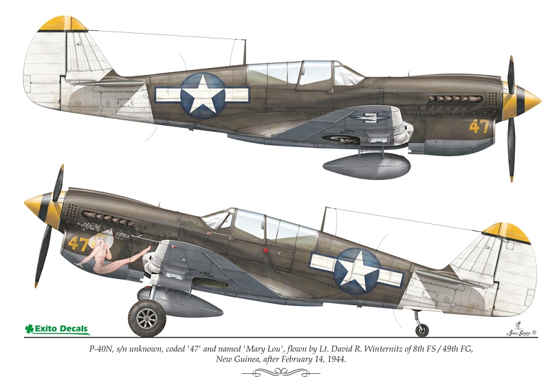Exito Decals EXED48011 Pacific Warriors Vol.1 US Fighters 1:48