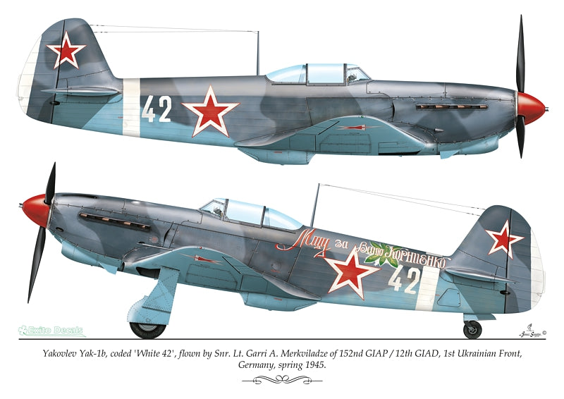 Exito Decals EXED72007 Yak Attack Yak-1b Markings 1:72