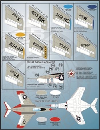 Furball Aero-Design FBDS4804 1:48 Colorful Gray & White Cougars