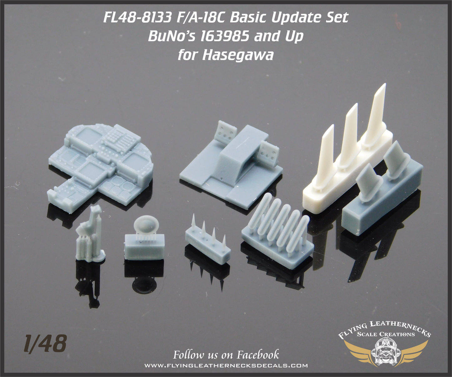 Flying Leathernecks FL48-8133 F/A-18C Hornet Cockpit Update 1:48