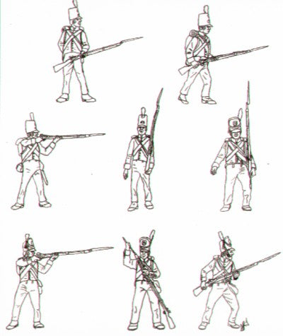 HAT Industrie HAT8096 1:72 Napoleonic Dutch/Belgian Infantry