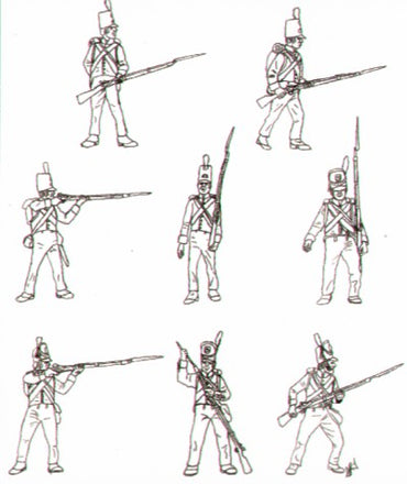 HAT Industrie HAT8096 1:72 Napoleonic Dutch/Belgian Infantry