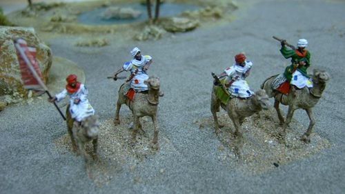 HAT Industrie HAT8250 1:72 Taaishi Camelry
