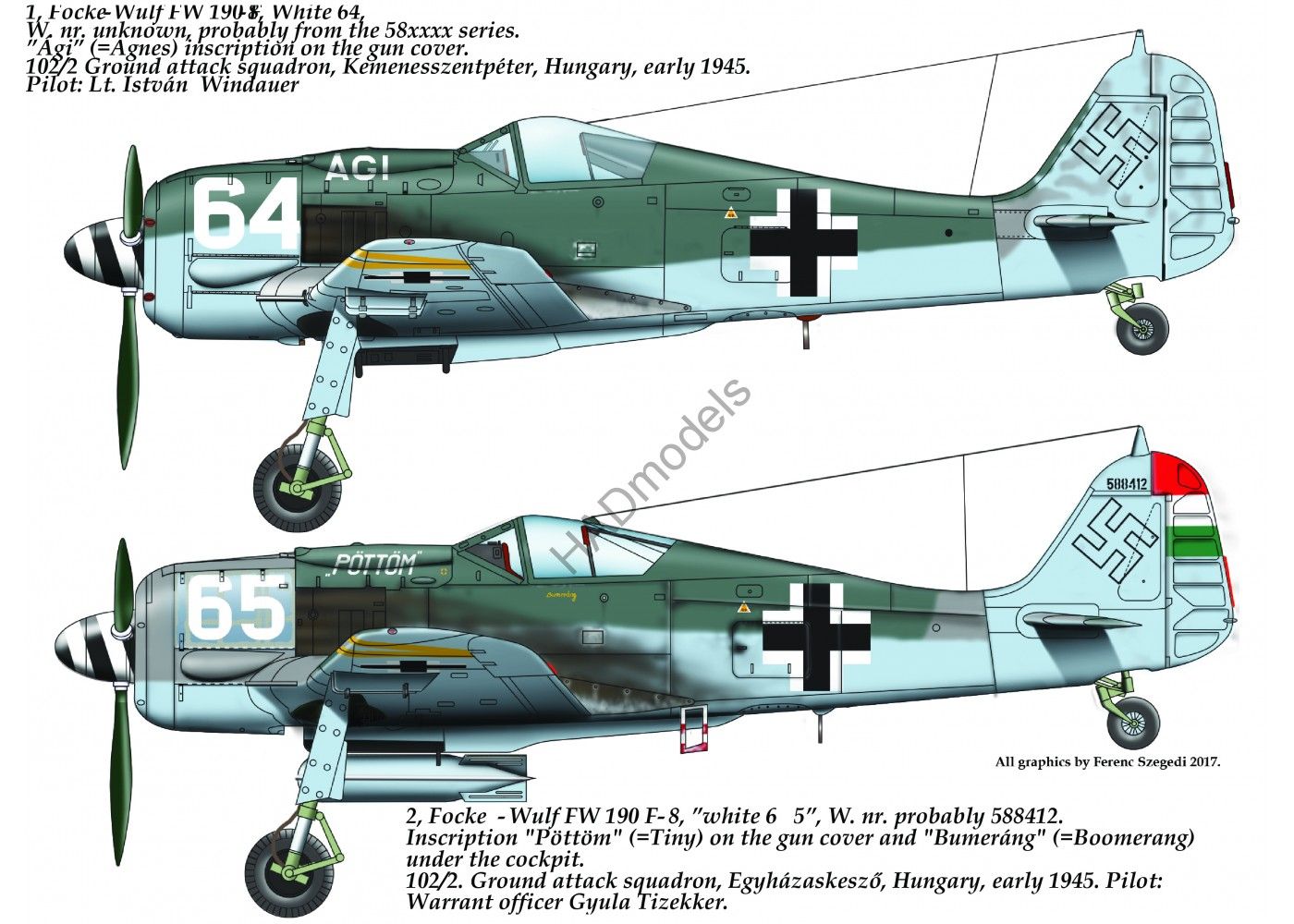 HAD Models HUN48178 1:48 Focke-Wulf Fw-190F-8