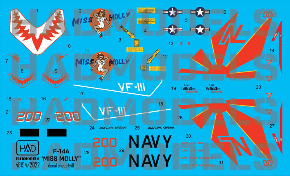 HAD Models HUN48194 1:48 Grumman F-14A Tomcat VF-111 "Sundowners"