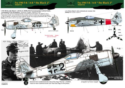 HAD Models HUN72115 1:72 Focke-Wulf Fw-190F-8 / A-8