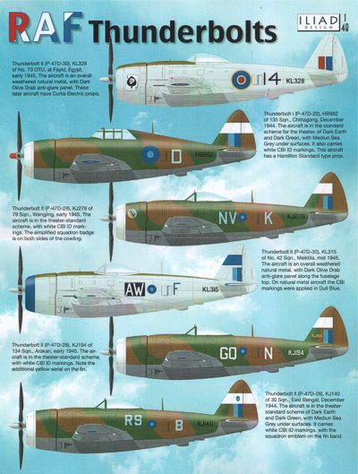 Iliad Design ILD48025 1:48 Republic P-47D Thunderbolt Bubble and Razorbacks