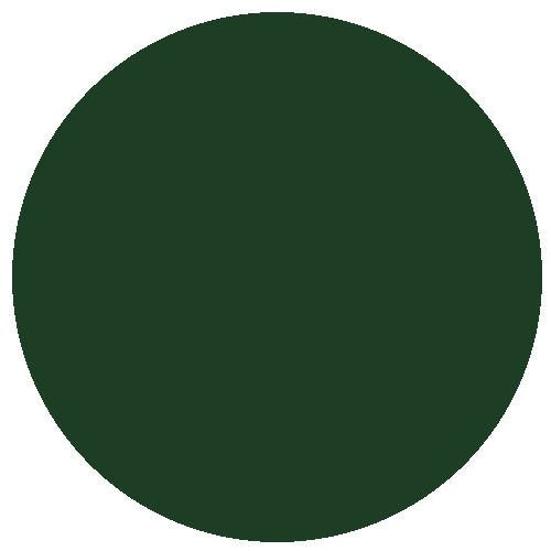 RailMatch 2601 GWR Post-1928 Locomotive Green 18ml Acrylic Paint