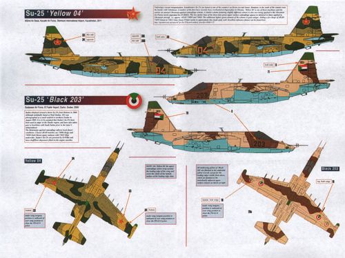 Linden Hill LHD48026 1:48 International Sukhoi Su-25K The Rook Part 3