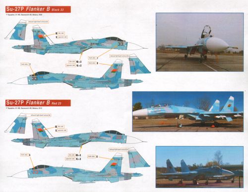 Linden Hill LHD48034 1:48 Belarusian Flankers