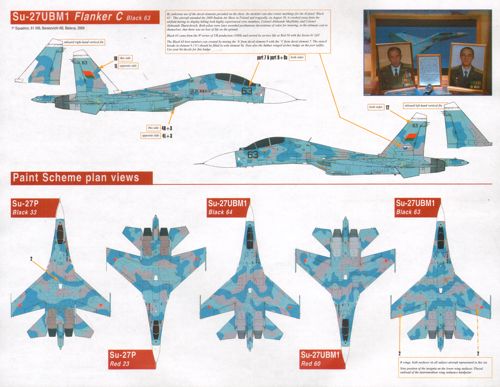 Linden Hill LHD48034 1:48 Belarusian Flankers