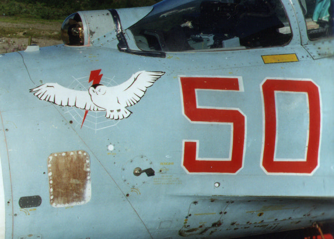 Linden Hill LHD48040 1:48 Sukhoi Su-27 'Guardians of the North' Update