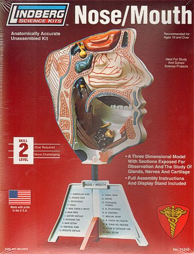 Lindberg LI71310 1:01 Nose/Mouth Kit