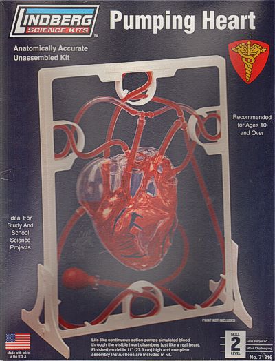 Lindberg LI71316 1:01 Pumping Heart