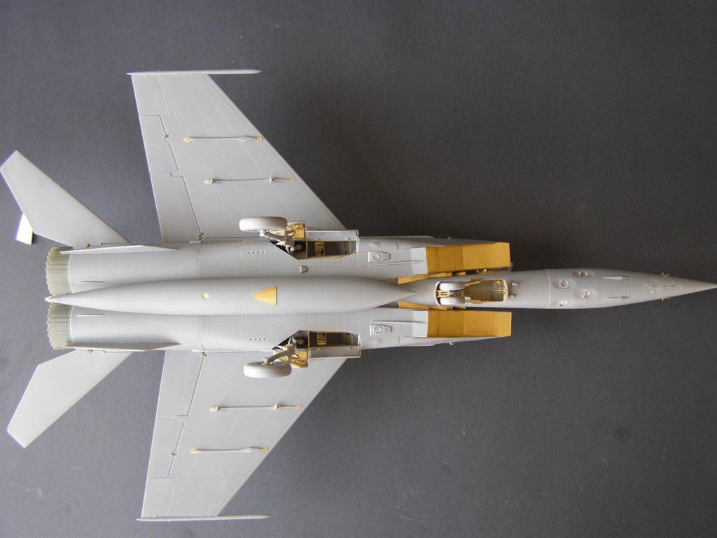 Metallic Details MDMD4823 1:48 Mikoyan MiG-25RBT/RB/PD/RBF exterior