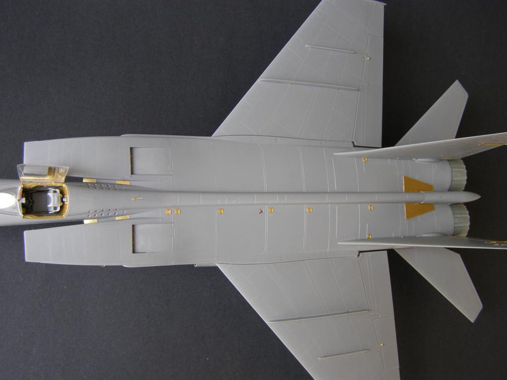 Metallic Details MDMD4823 1:48 Mikoyan MiG-25RBT/RB/PD/RBF exterior