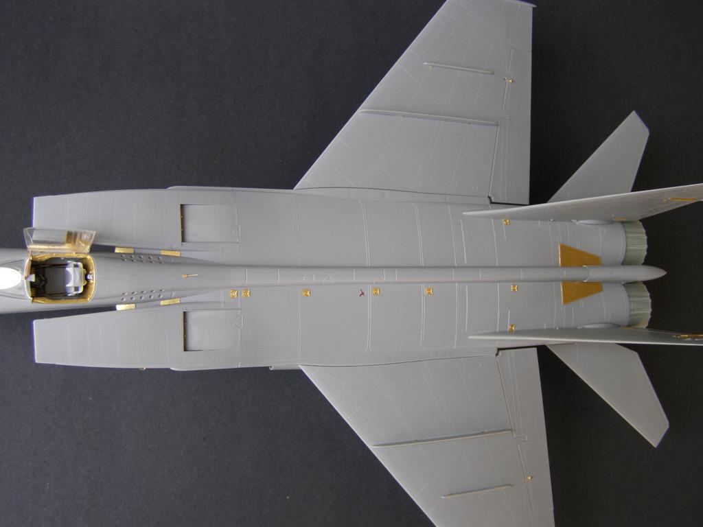 Metallic Details MDMD4823 1:48 Mikoyan MiG-25RBT/RB/PD/RBF exterior
