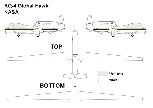 Miniwing-Plastic MINI312 1:144 Northrop-Grumman RQ-4B GLOBAL HAWK NASA