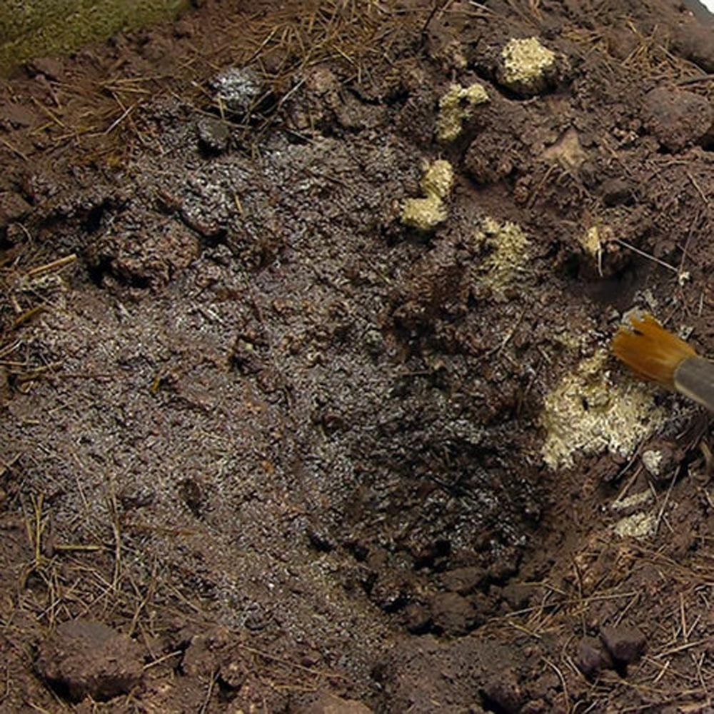Mud/Earth