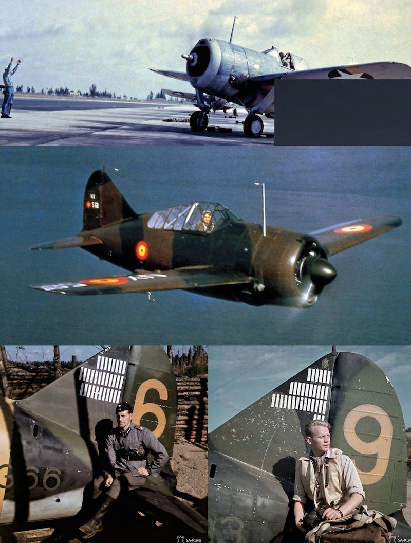 Naval Fighters NF104 Brewster F2A Buffalo, Richard S