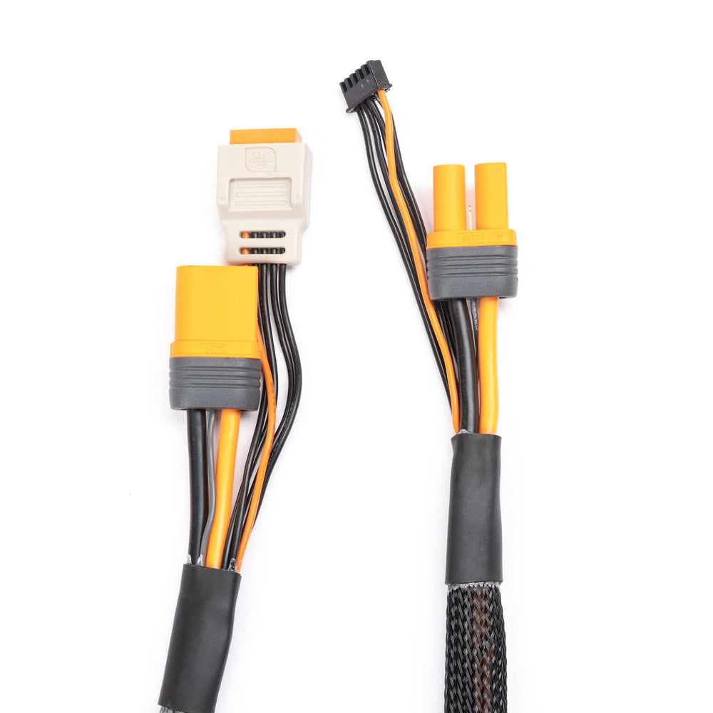 Spektrum Charge Lead with Balance Extension 24" IC5, 2-4S SPMX-1013