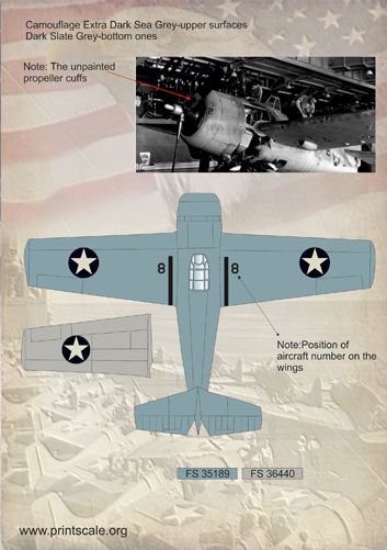 Print Scale PSL48055 1:48 Grumman Wildcat and Martlet Aces 1