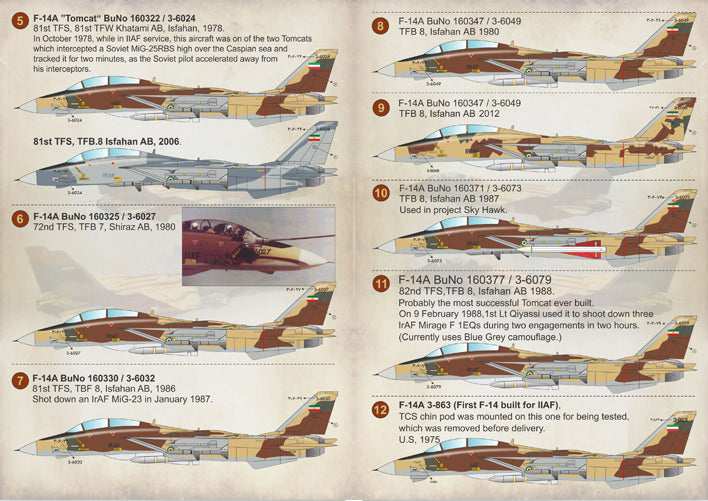 Print Scale PSL48117 1:48 Iranian Grumman F-14A Tomcats