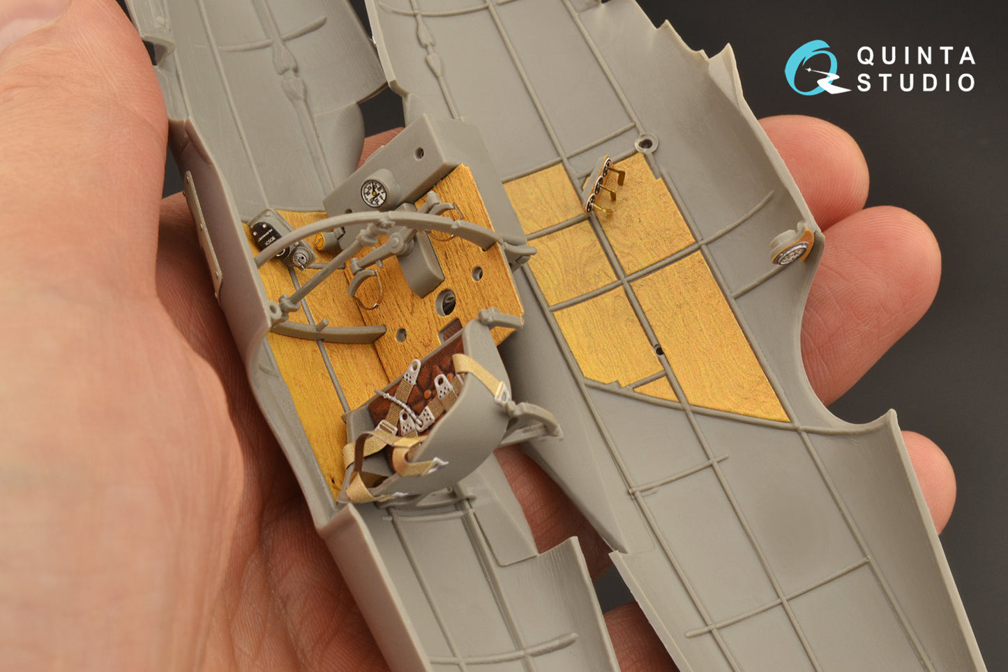 Quinta Studio QD32112 1:32 Pfalz D.III 3D-Printed Interior Decals