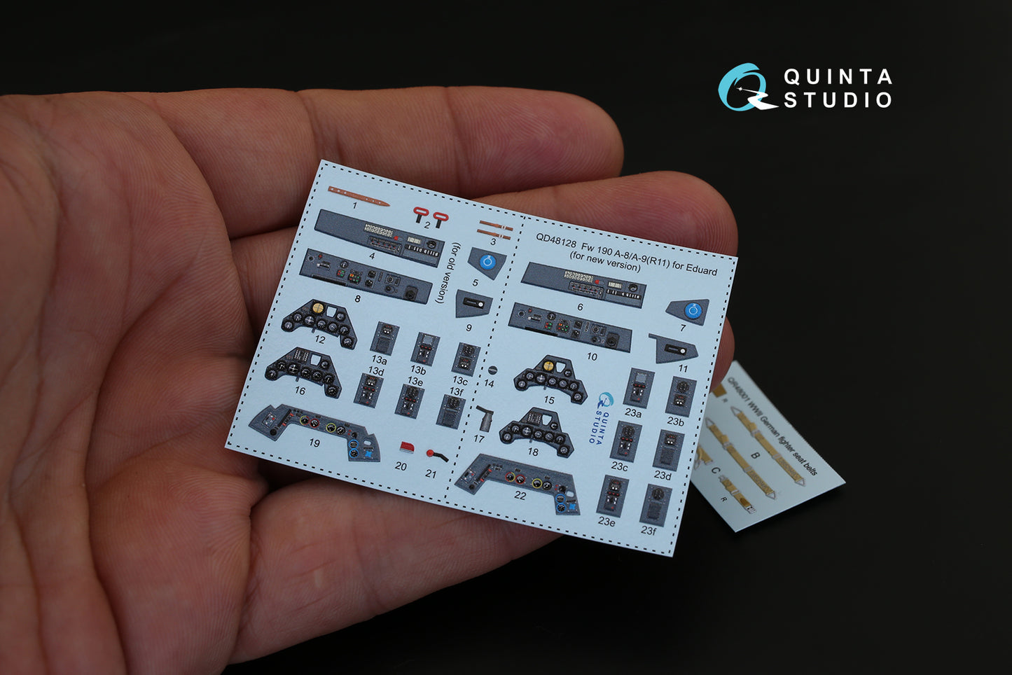 Quinta Studio QD48128 1:48 Focke-Wulf Fw-190A-8/A-9