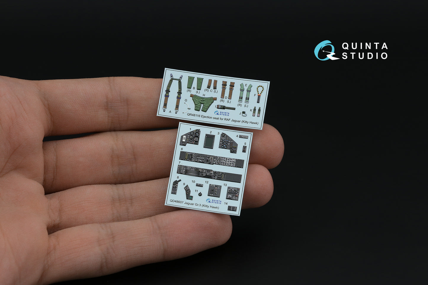 Quinta Studio QD48607 1:48 Jaguar Gr.3 3D Interior Decal