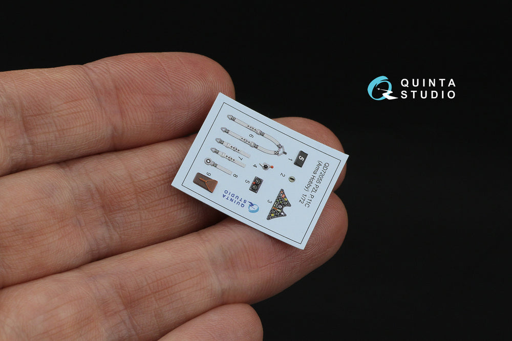 Quinta Studio QD72055 1:72 PZL P.11 3D-Printed Interior decal