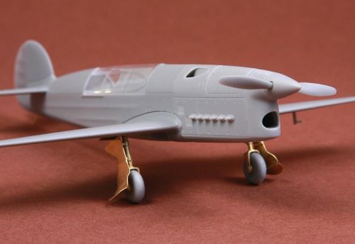 SBS Model SBSK4006 1:48 Caudron C.561 Resin+PE+decal