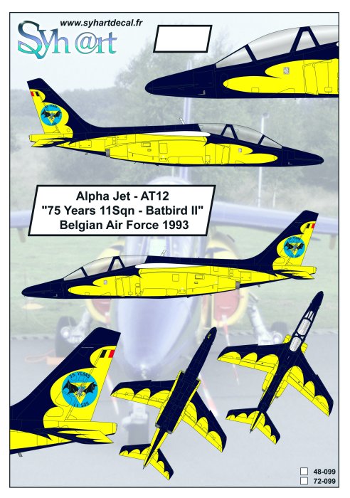 Syhart Decal SY48099 Alpha Jet AT12 75 Years 11Sqn 1:48