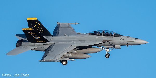 Syhart Decal SY48120 1:48 F/A-18F 100 Years 1 Squadron RAAF