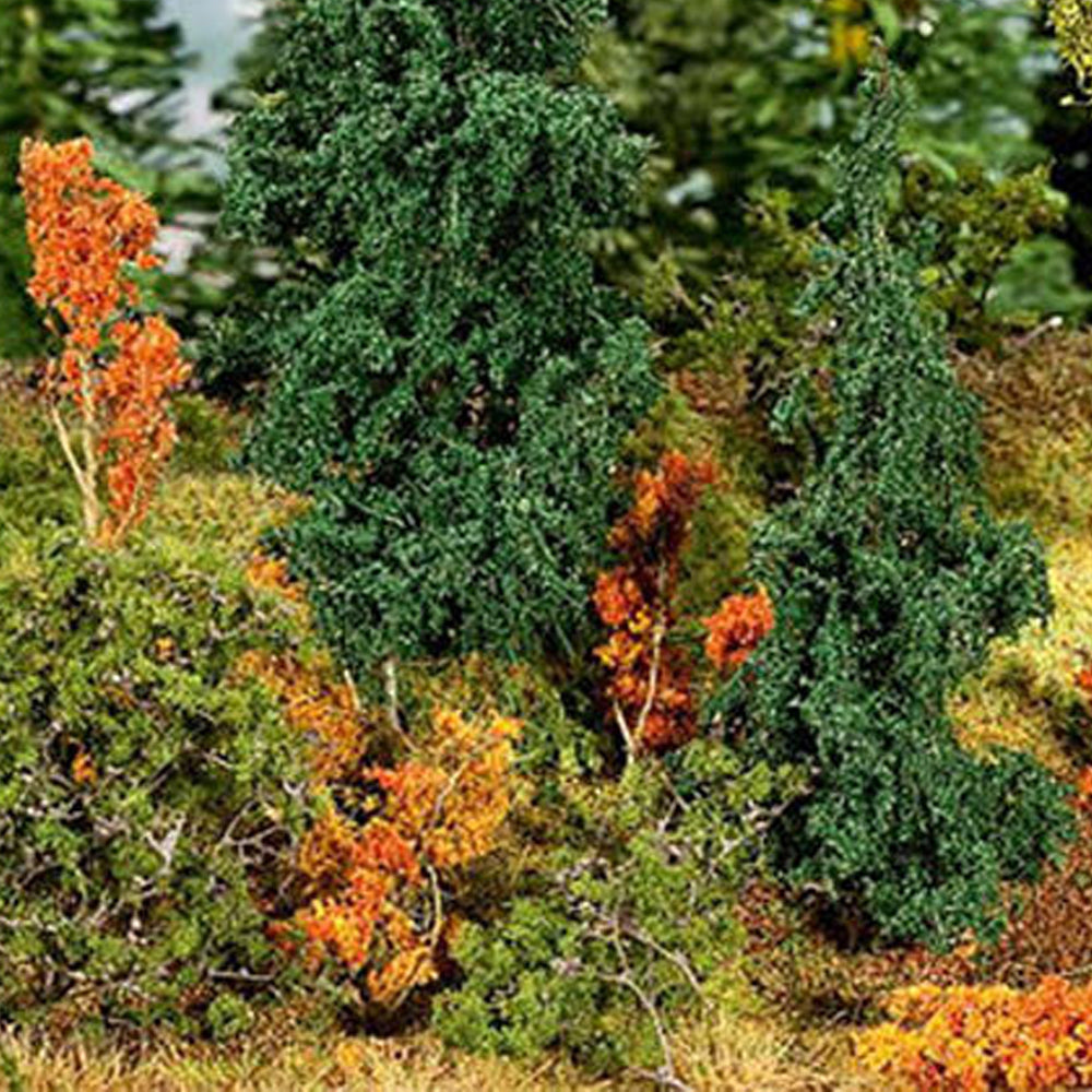 Plants