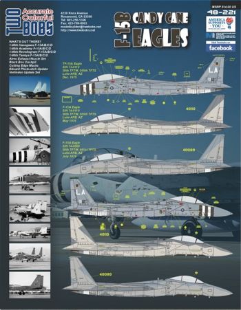 Two Bobs TB48221 1:48 McDonnell F-15B Candy Cane Eagles Part 2