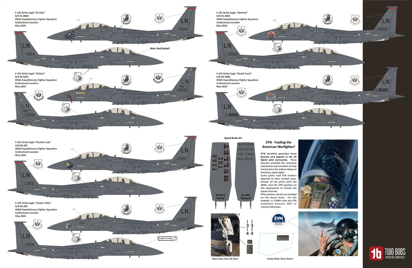 Two Bobs TB48286 F-15E Strike Eagle Black Panther Drone Killers 1:48