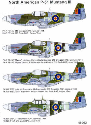 Techmod TM48002 1:48 North-American P-51B Mustang III
