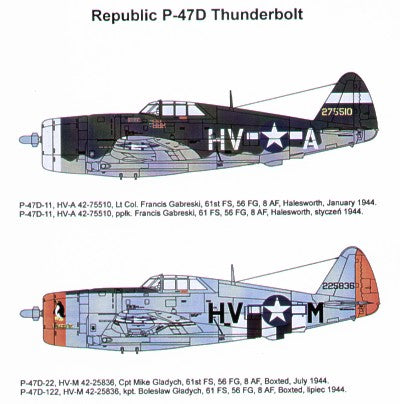 Techmod TM48048 1:48 Republic P-47D Thunderbolt 'Razorback'