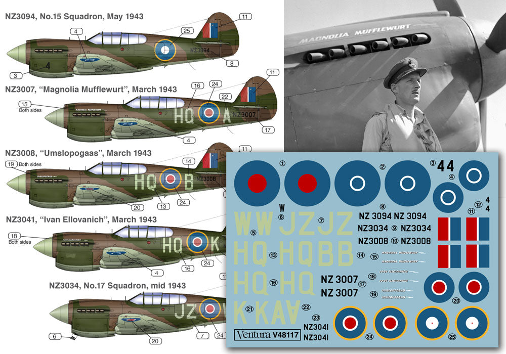 Ventura VA48117 RNZAF Curtiss P-40E Multi-Option Decals 1:48
