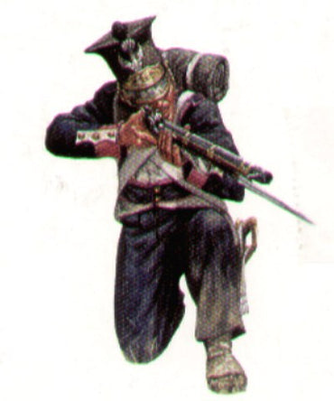 Waterloo 1815 WLAP008 1:72 Polish Infantry 1812/14