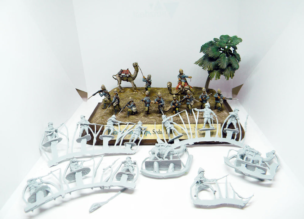 Waterloo 1815 WLAP105 1:72 British Colonial Camel Corps
