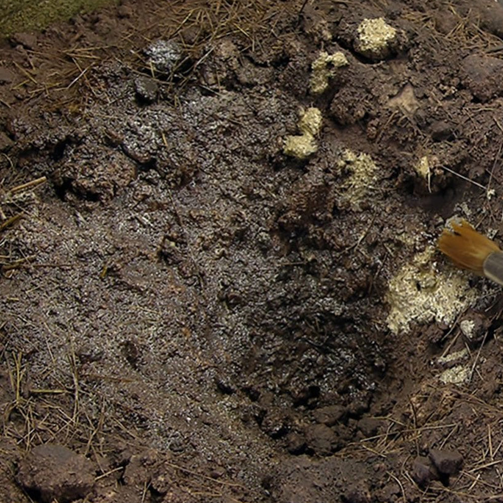 Mud/Dirt