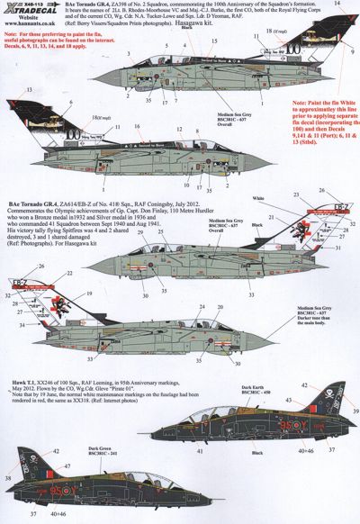 Xtradecal X48113 1:48 RAF Anniversary Update 2011/12