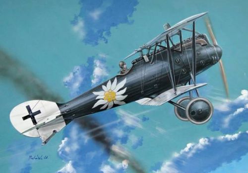 FLY YLF48014 1:48 Roland D.VIa