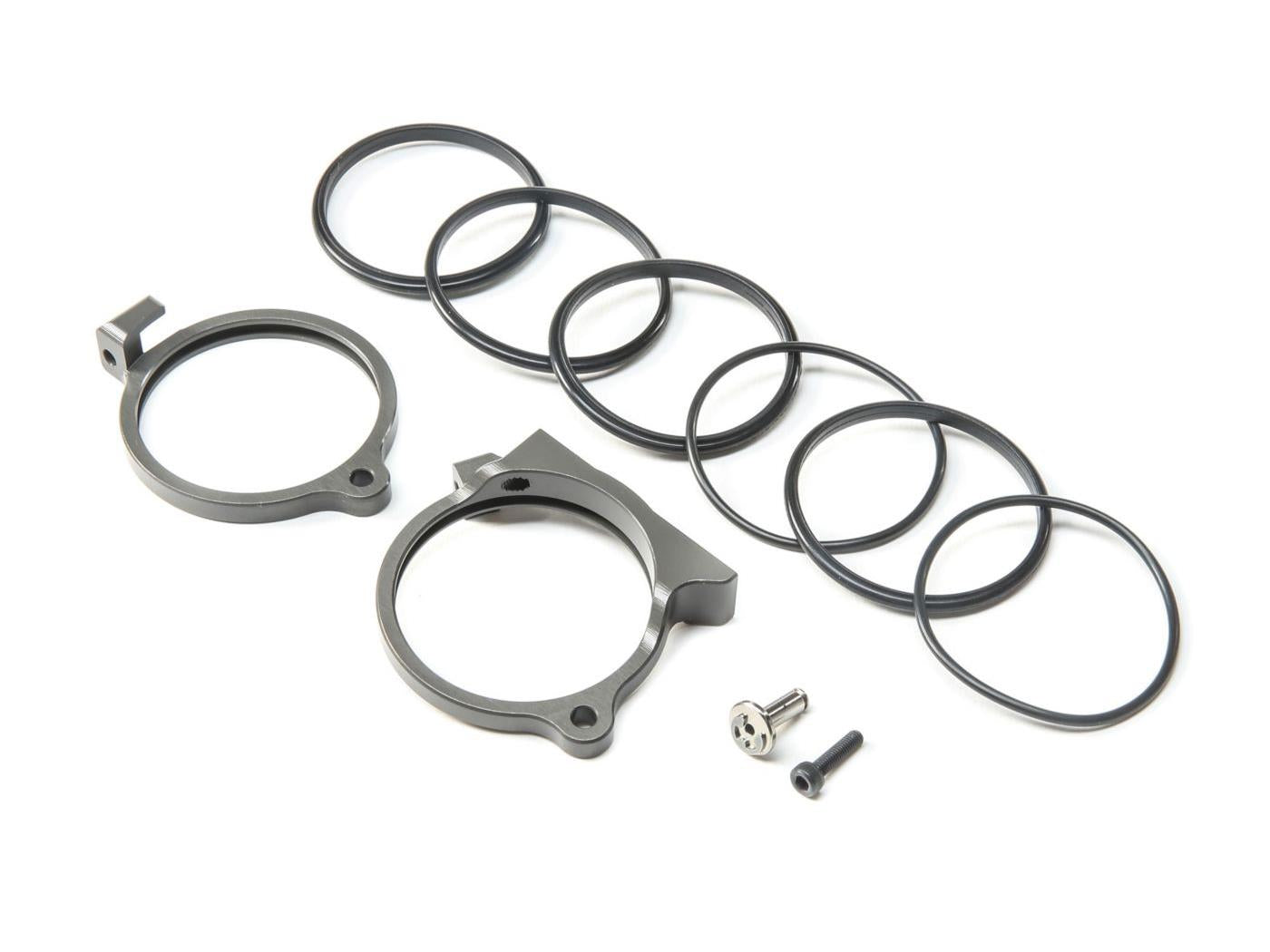 TLR Motor Mount (1): 8XE TLR241058