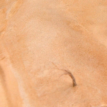 AK Interactive 8022 Diorama: Terrains Sandy Desert - 250ml (Acrylic)
