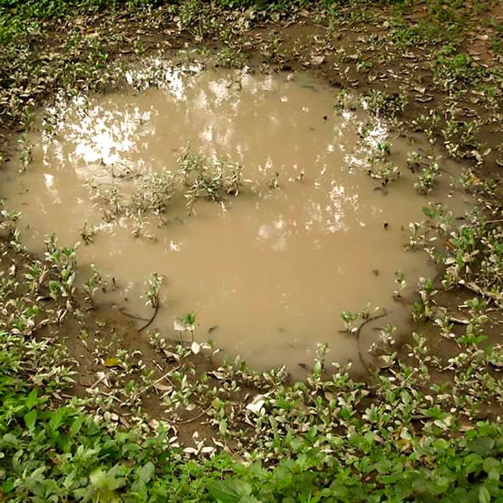 AK Interactive 8028 Diorama - Puddles 60ml Acrylic